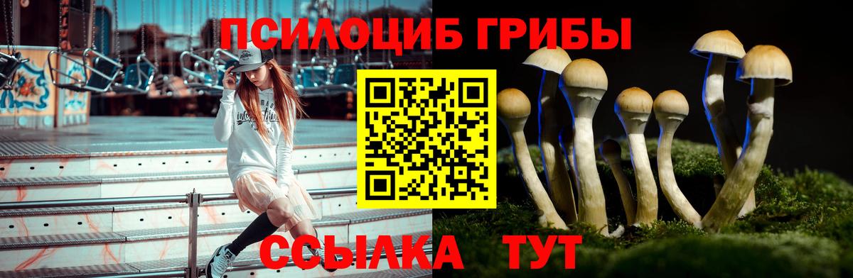 Галлюциногенные грибы GOLDEN TEACHER  Псилоцибиновые грибы Cubensis  Лосино-Петровский  даркнет сайт  Вход с VPN 